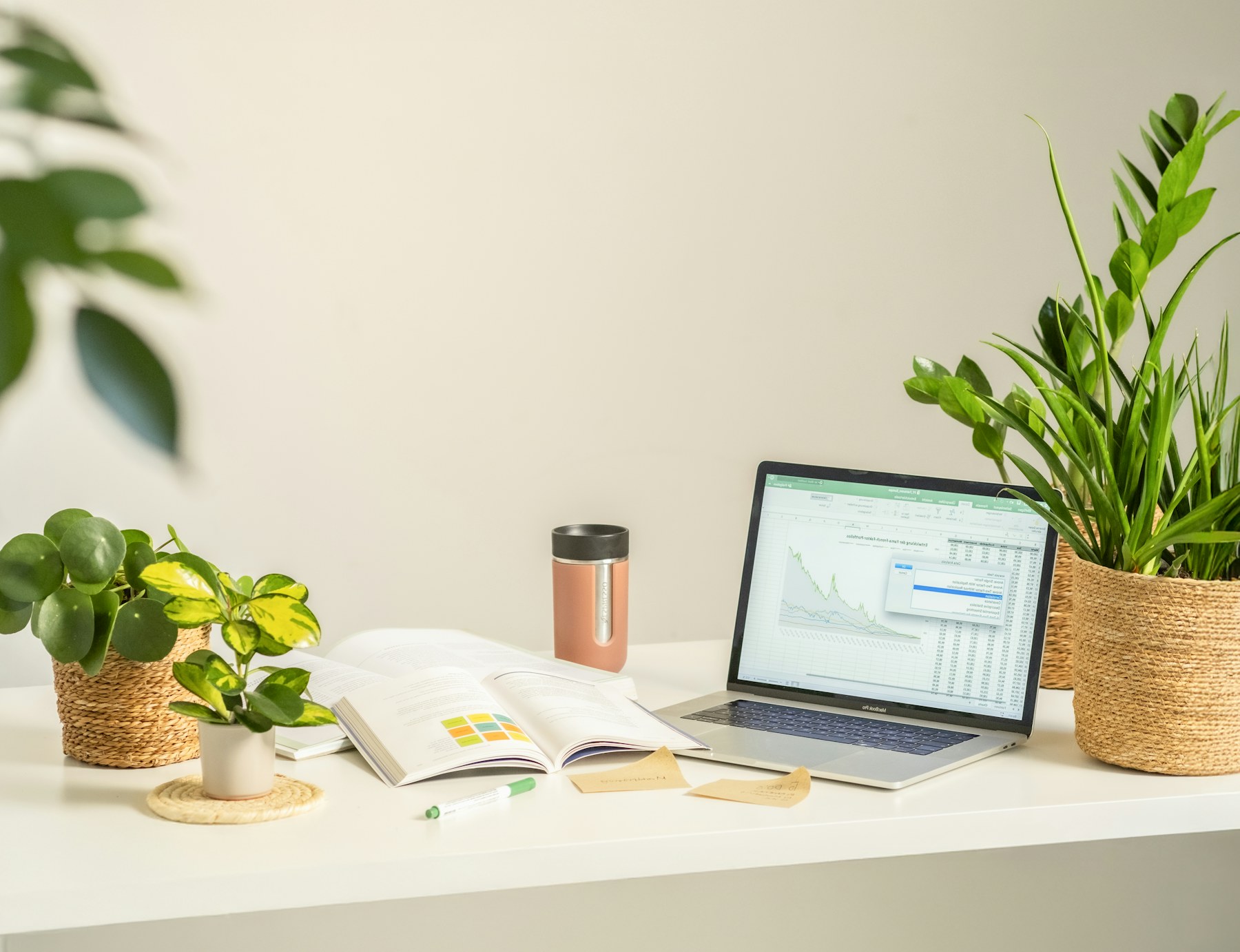 An organized workspace with a book and plants